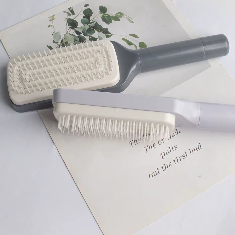 BrushSmart Borstel