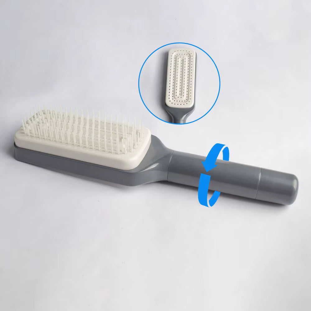 BrushSmart Borstel